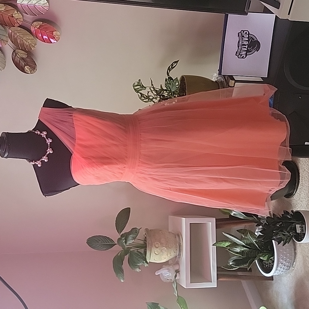 David's Bridal CoralReef Dress